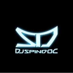 DJSpinDoc