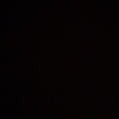 Regina Putri Wardeni