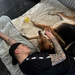 ADHD Kongen👑 / DenDerDansker