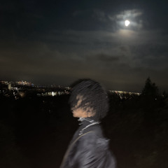 REVERIE