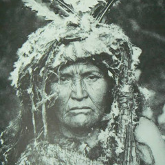 sylvan shaman