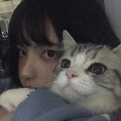 무릎