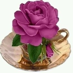 كوكتيل قديم