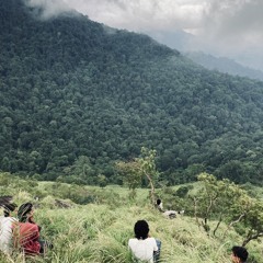 THIMOTHY