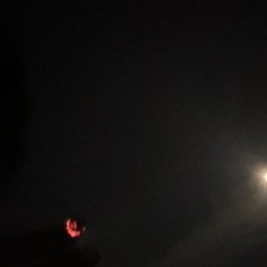 OMNKDOT