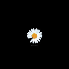 User 110799904