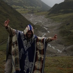 Guanaco