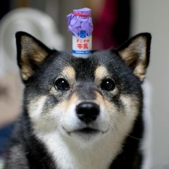 KihamudennME