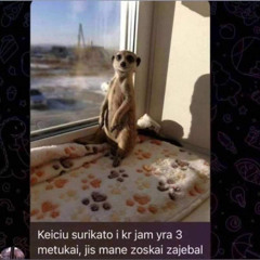 nnrxDDD