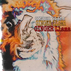 Ginger Llama