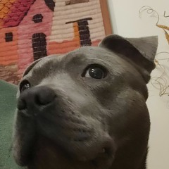 santiagobossdestroyer