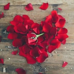 AKS E KHUSHBU HOO عکسِ خوشبو ہوں