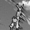 Pluto