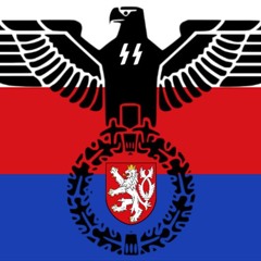 14NS_CZ_WP88