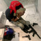 xaii