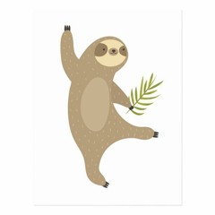 Dancing Sloth