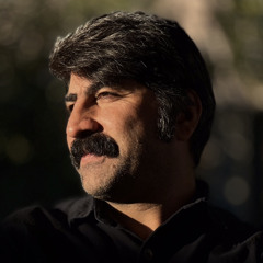 Amir Chamani
