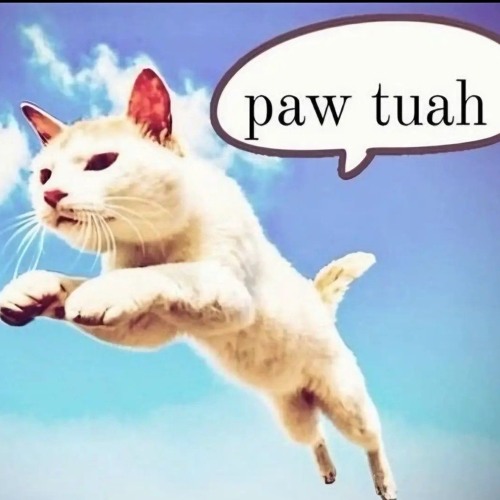 Stream Ayan music Listen to songs albums playlists for free on