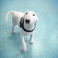 East Otto Summer Break