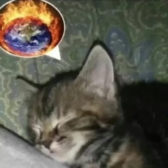 misko