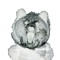 white bear
