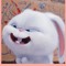 SnowBall