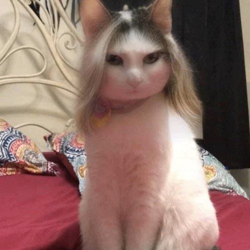 Mine