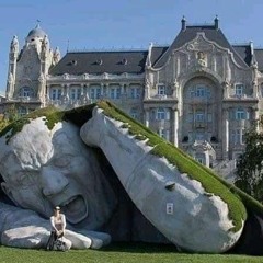 _cau_