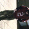 rrryyyan222
