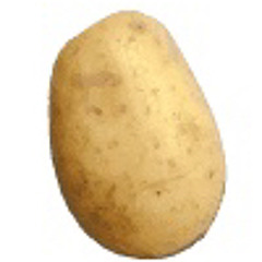 PotatoMan