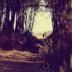 Jim Bixente Baroudeurs