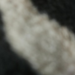 Abdinaasir Abdullahi Ismail