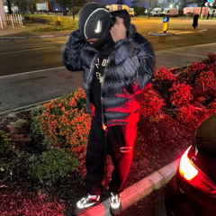 MusicPlug24z
