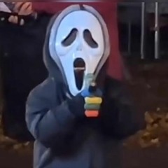 lil maxtim