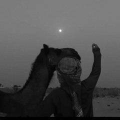 محمد حماد بیگ