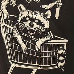 Waschbär