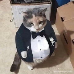 Penguinlover
