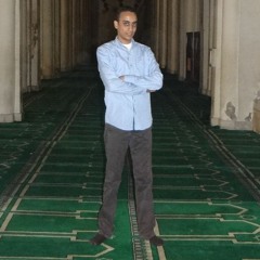 Amr Elsayed 1