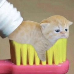 n1ghtm00d