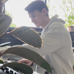 Manu (NL)