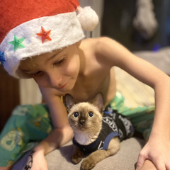 cats