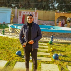 Emad Abdelwahed