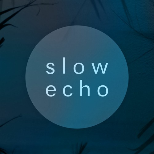 slow echo’s avatar