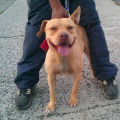 John John 🇻🇮 🇻🇮