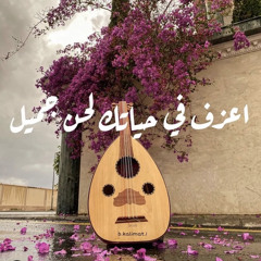 Tarek-official