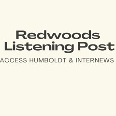 Redwoods Listening Post