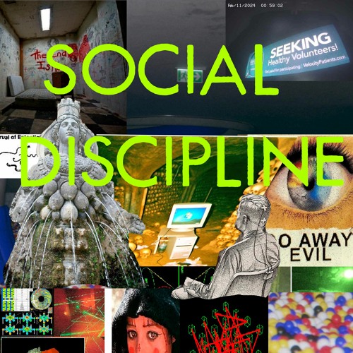 Social Discipline’s avatar