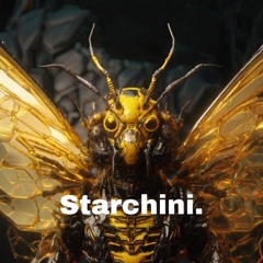 Starchini