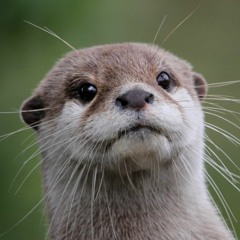 Luis Rodrigez Martinez