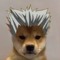 Bakutos pet dog.